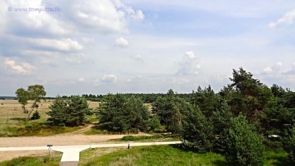 Rheden photo 3