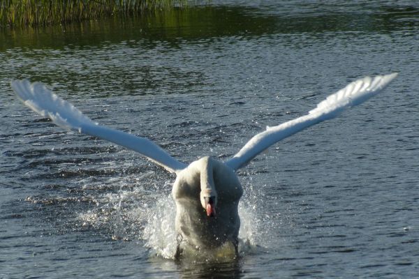 Zeewolde, Flevoland