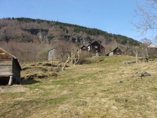 Voss photo 2