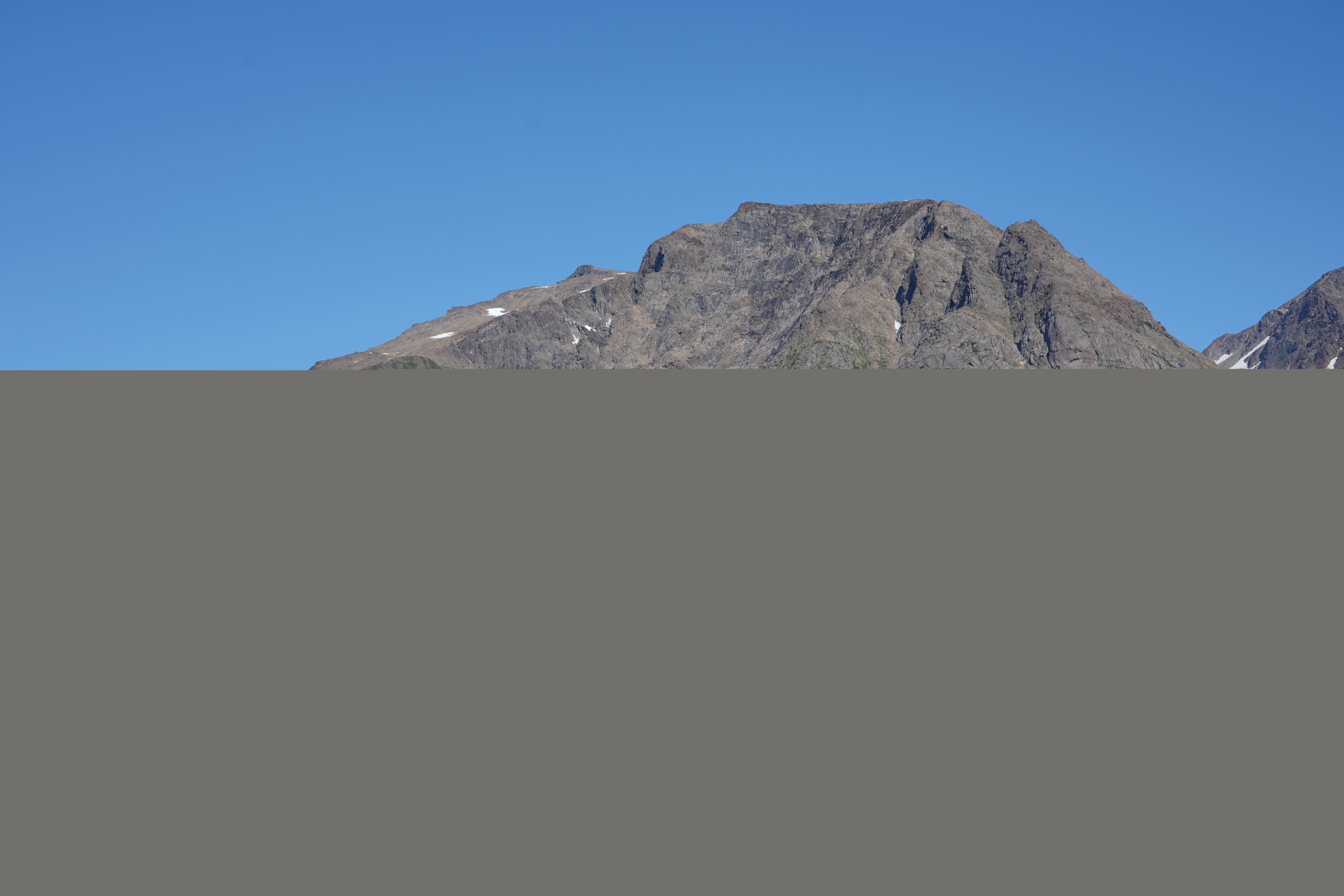 Fjelltindnasen photo 3