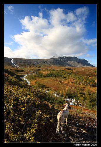 Addjektind, Nordland