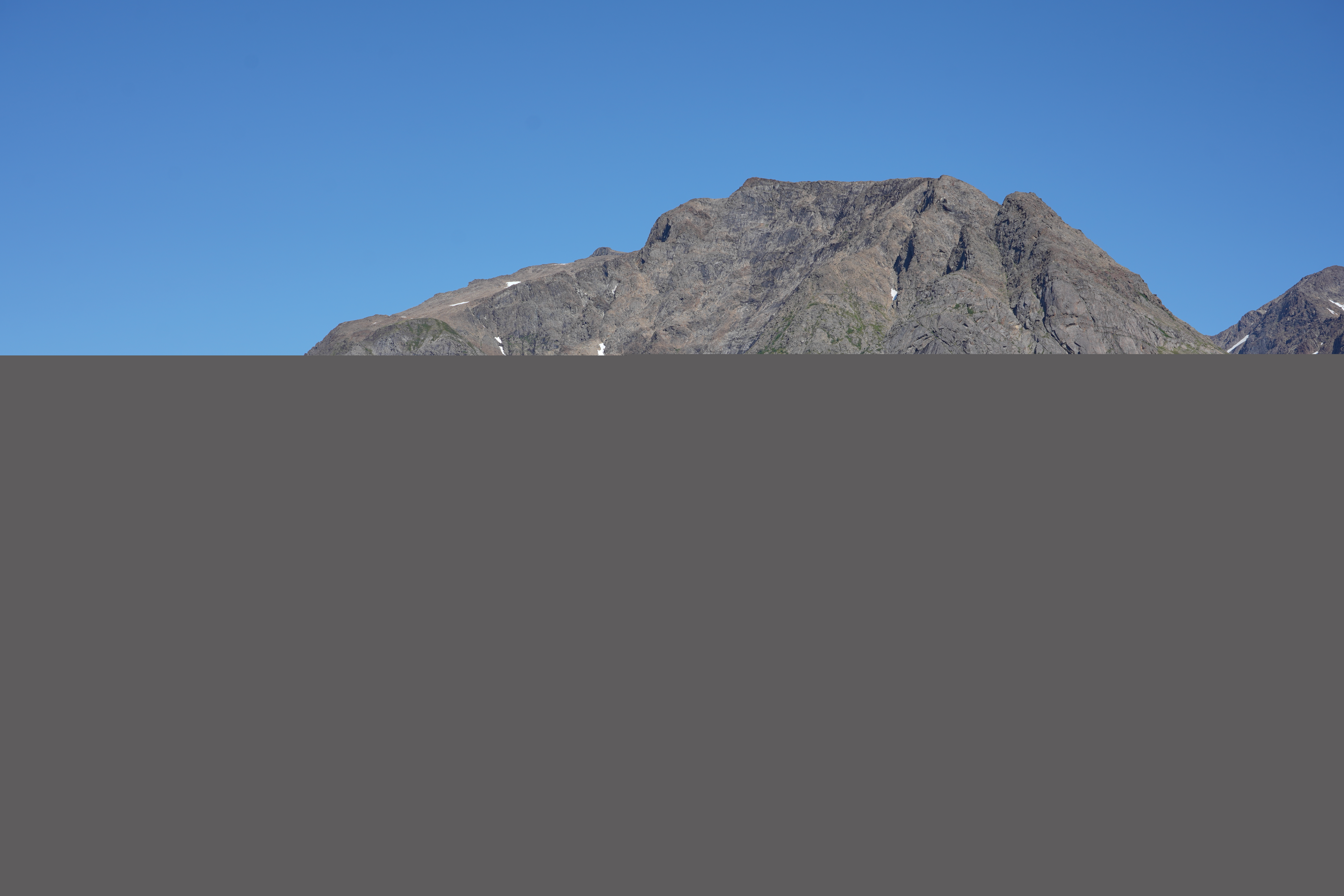Fjelltindnasen, Troms