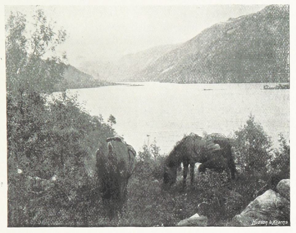 Bjørnevatn, Finnmark