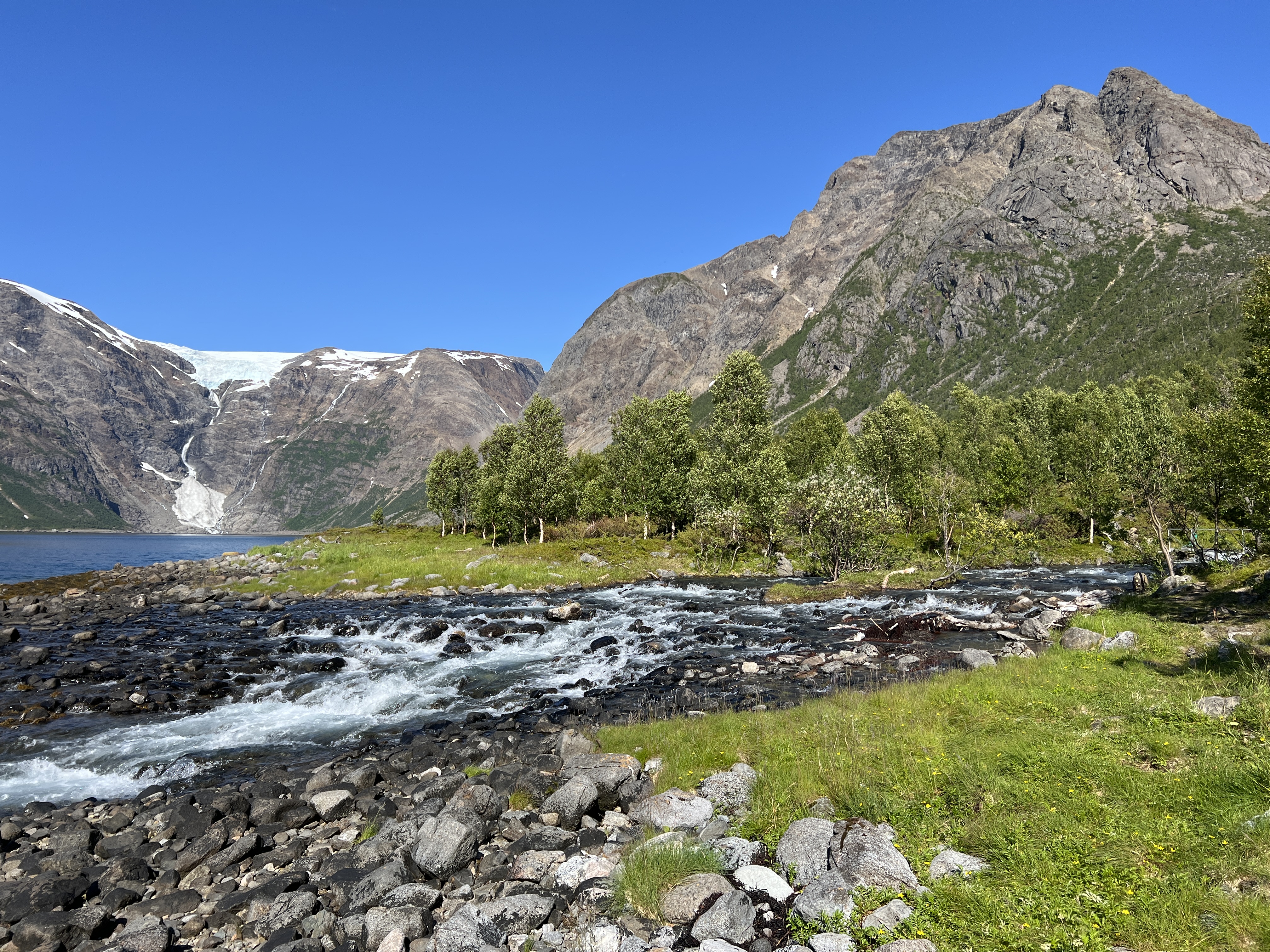 Fjelltindnasen photo 2