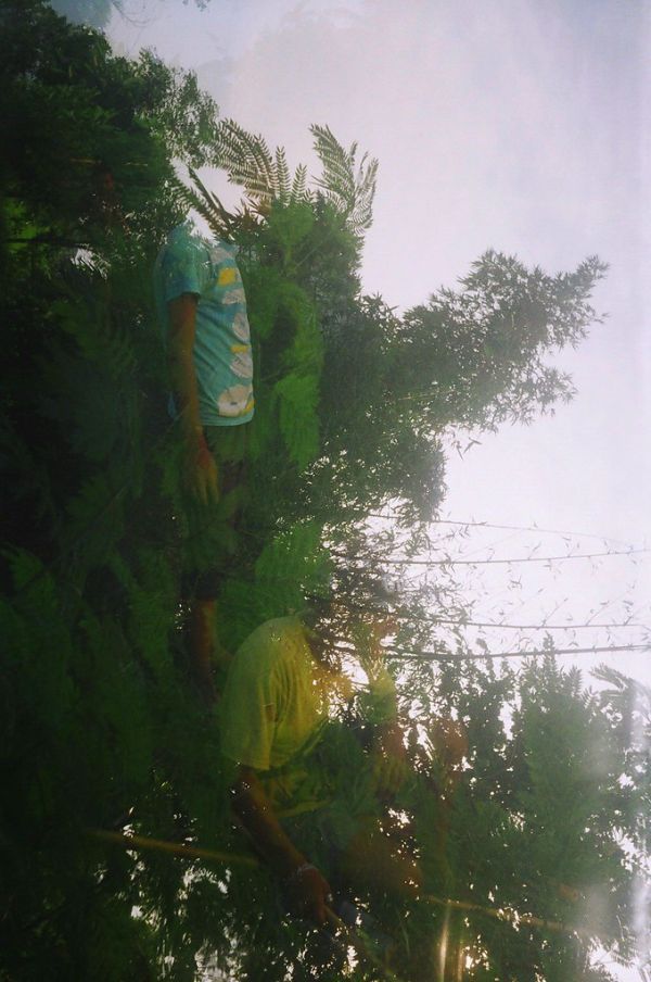 Bharatpur photo 3