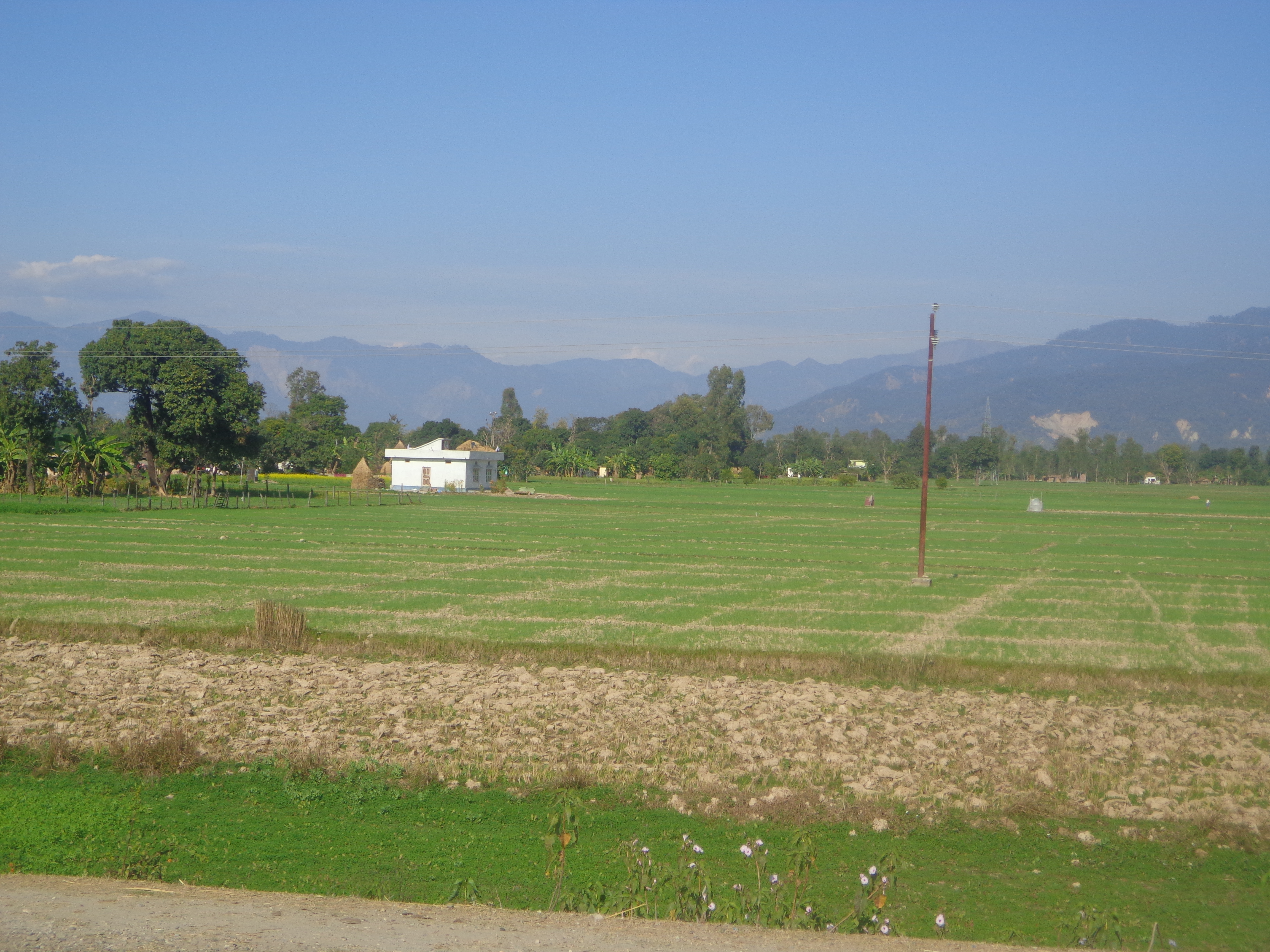 Bhimdatta photo 2