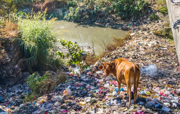 Bishnumati River photo 2