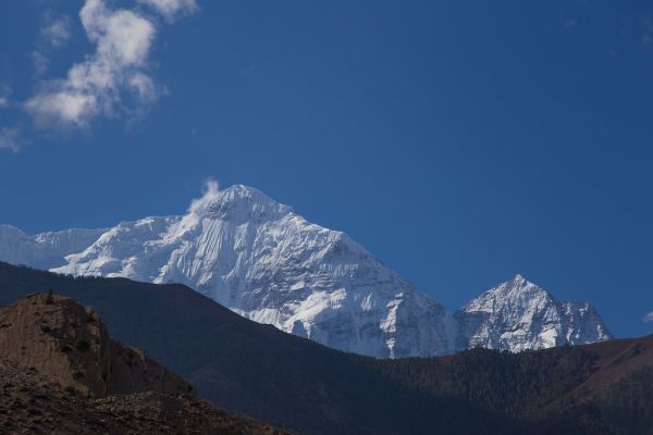 Nilgiri photo 4