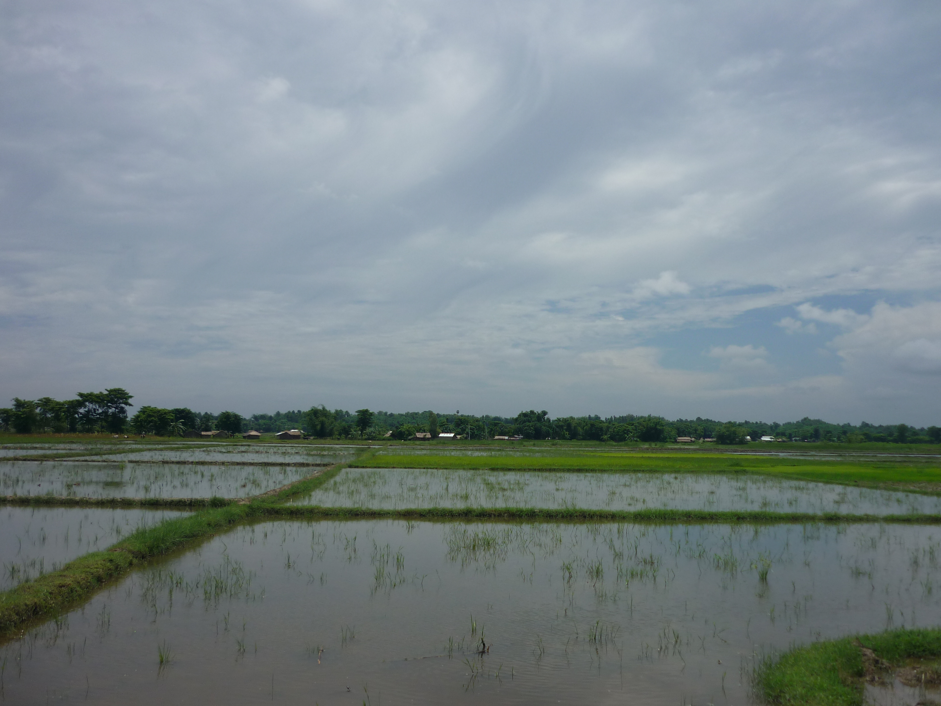 Bhadrapur, Koshi