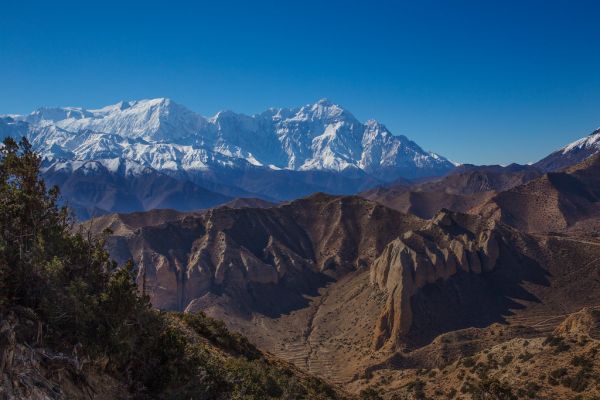 Nilgiri photo 2