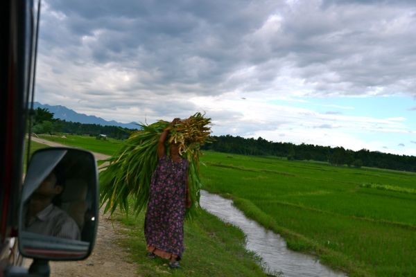 Nepalgunj photo 2