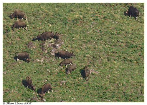 Gaur, Madhesh