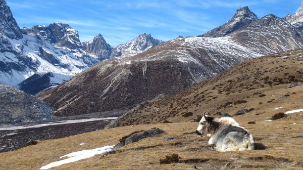 Lobuche photo 2