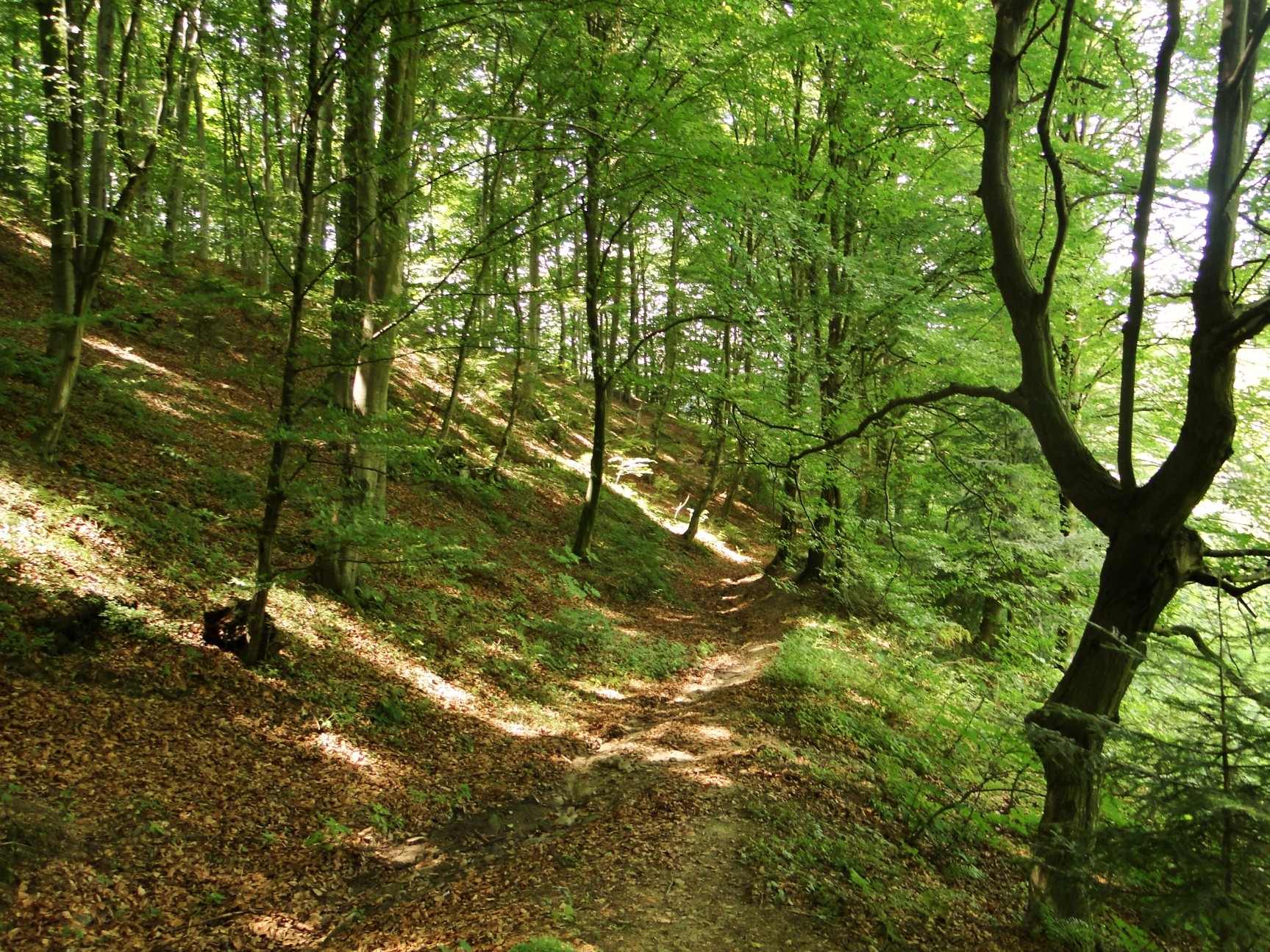 Góra Sucha photo 3