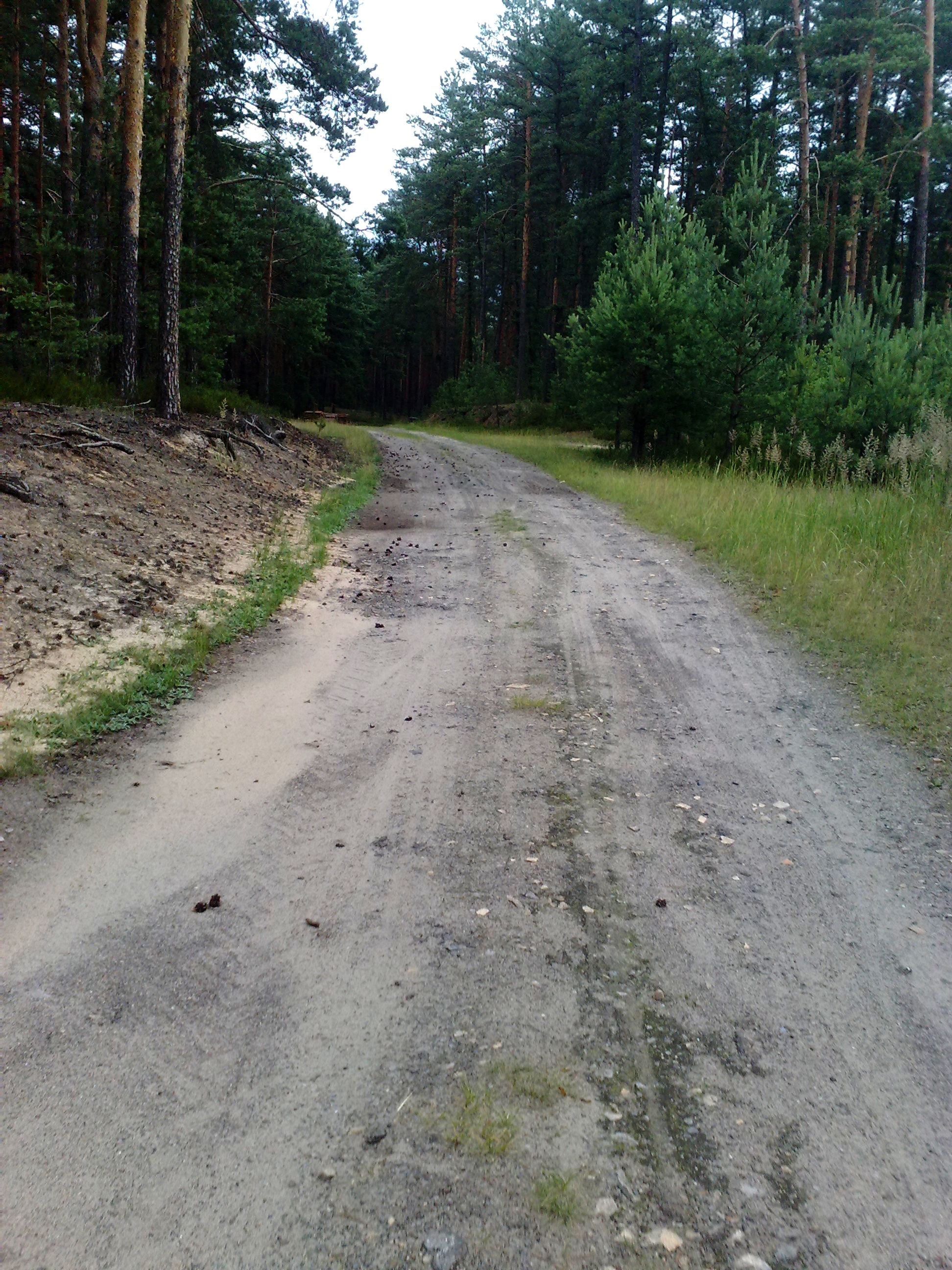 Pysznica photo 4