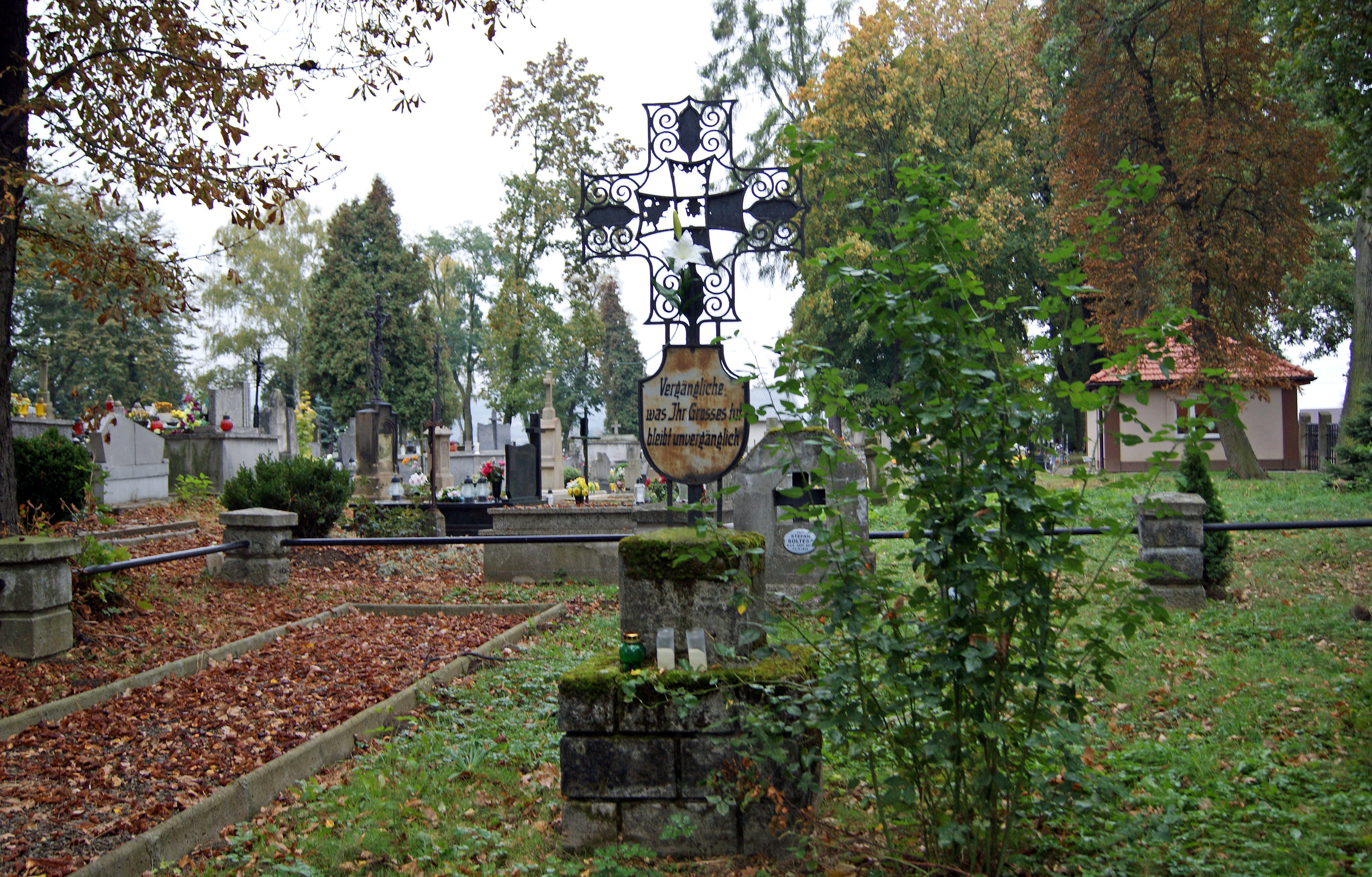 Wojnicz photo 2