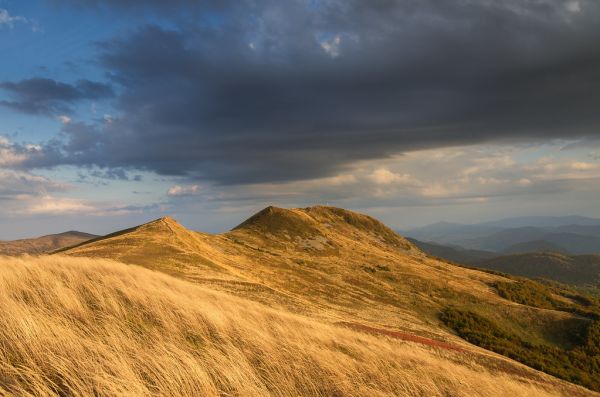 Tarnica, Subcarpathia
