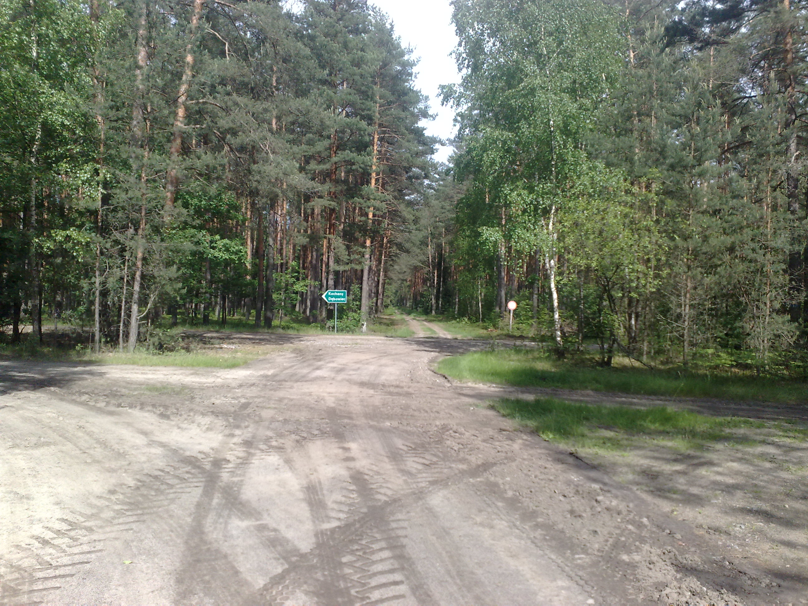 Pysznica photo 3
