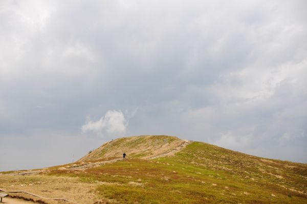 Tarnica photo 4