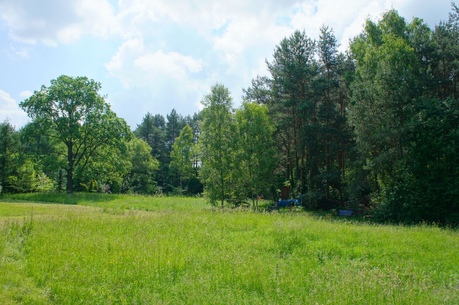 Wieliszew, Mazovia