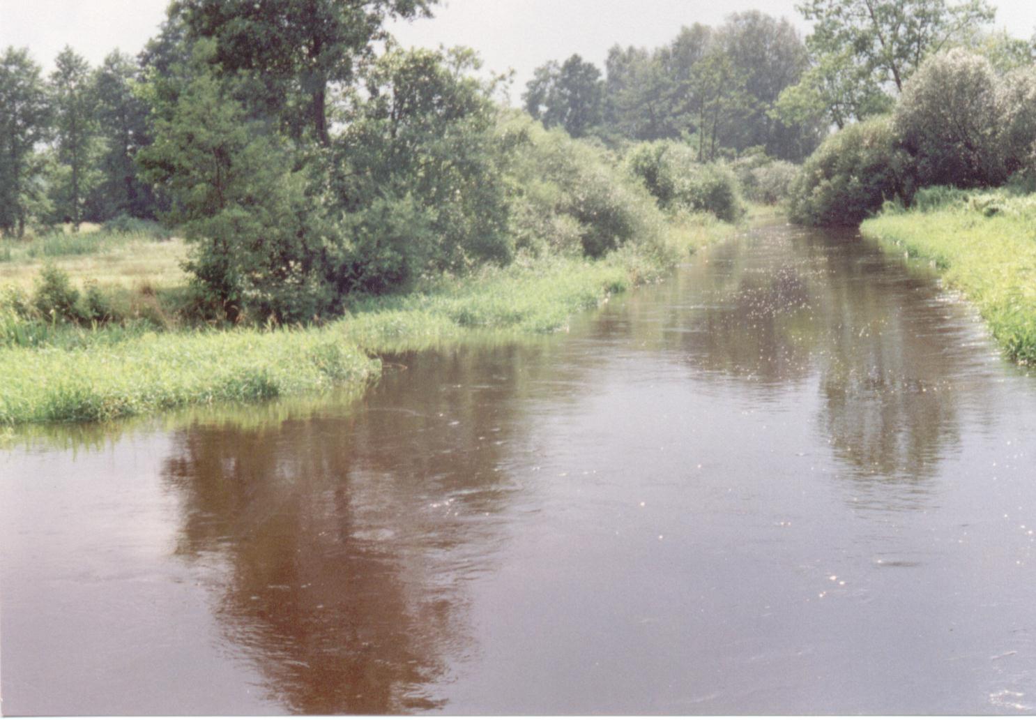 Rawka photo 4