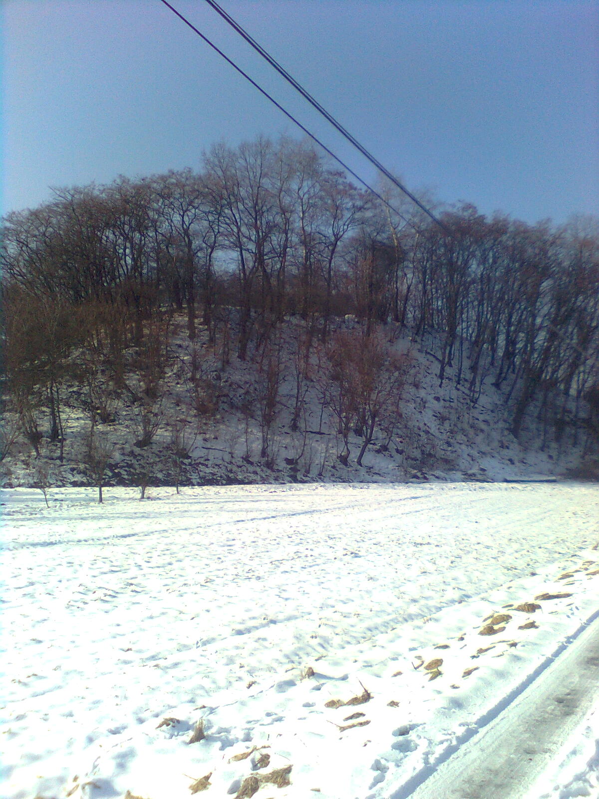 Zamczysko photo 4