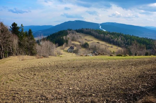 Śnieżnica photo 3