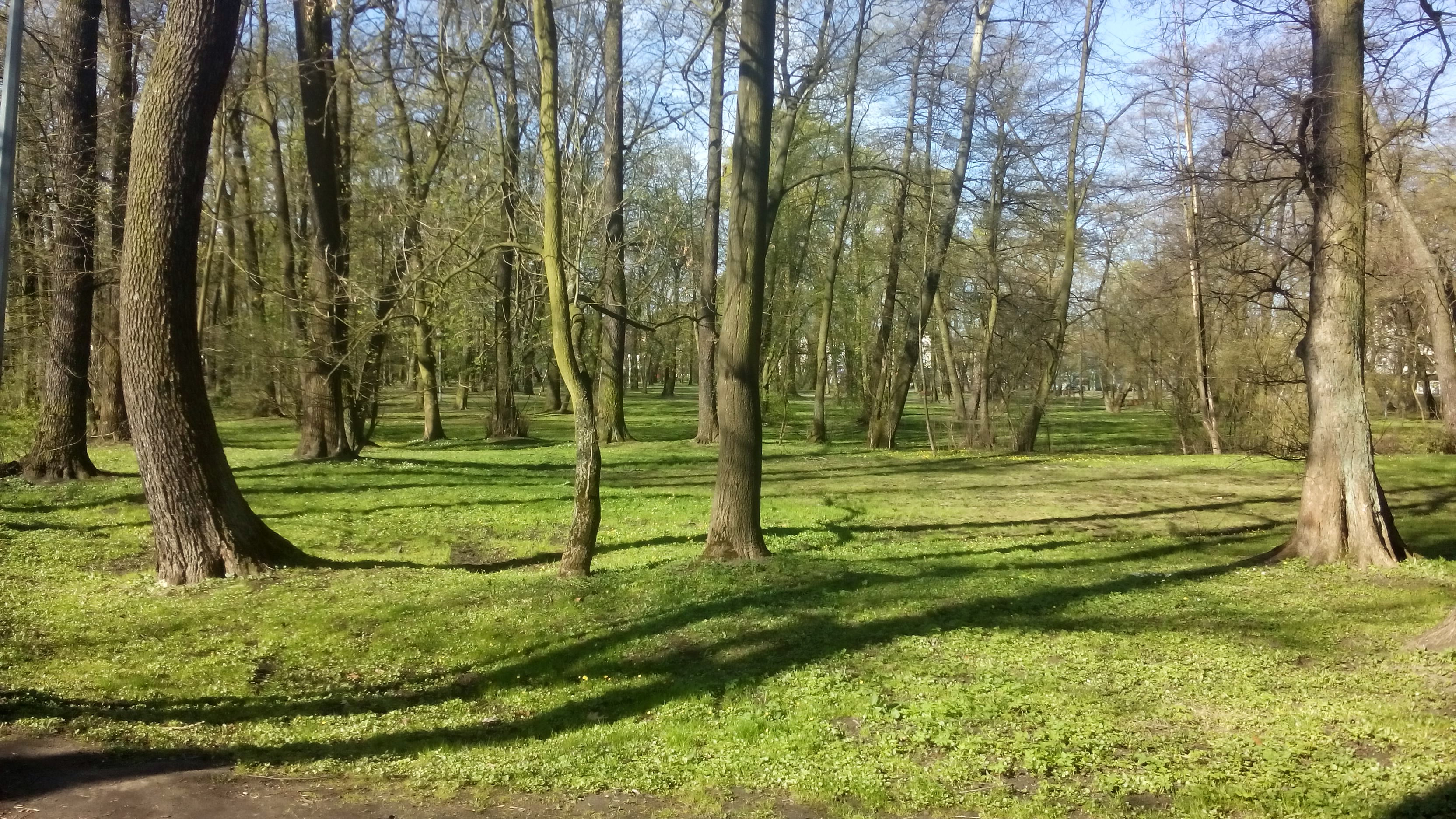 Pruszków photo 2