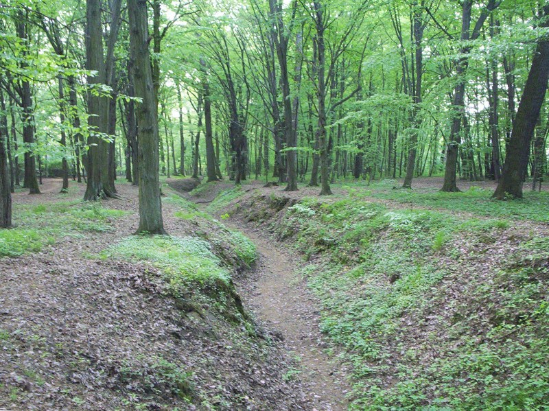 Podkowa Leśna photo 2