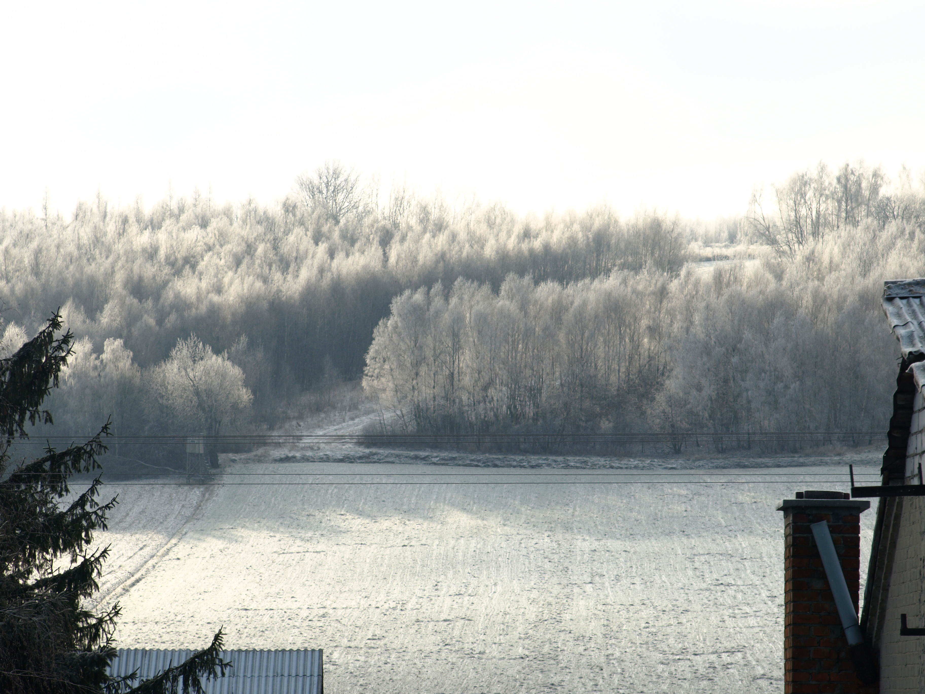 Tomaszów Lubelski photo 4
