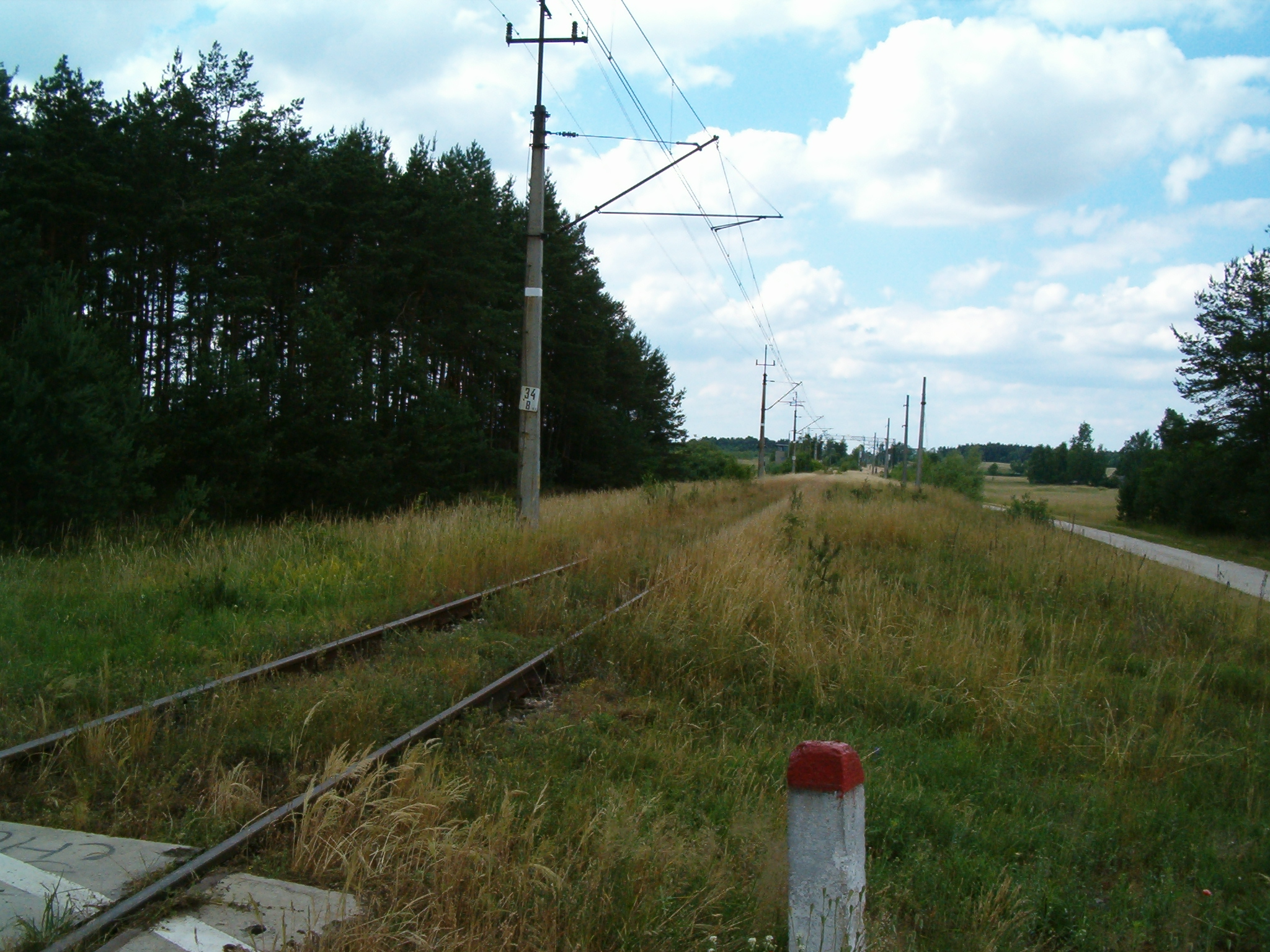 Pińczów photo 2