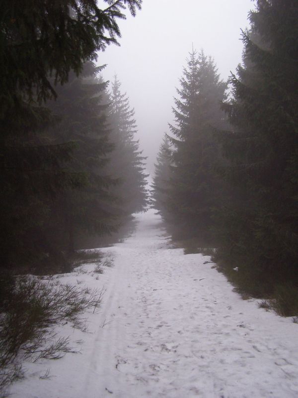 Przehyba photo 4