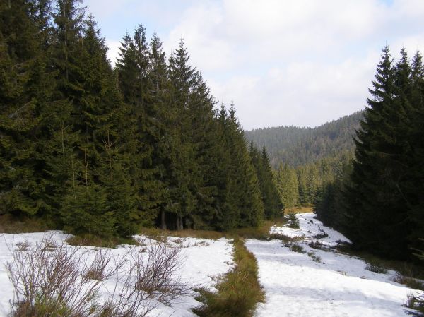 Radziejowa photo 2
