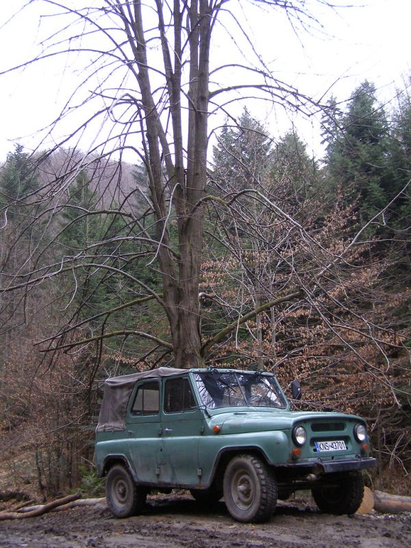 Rytro photo 2