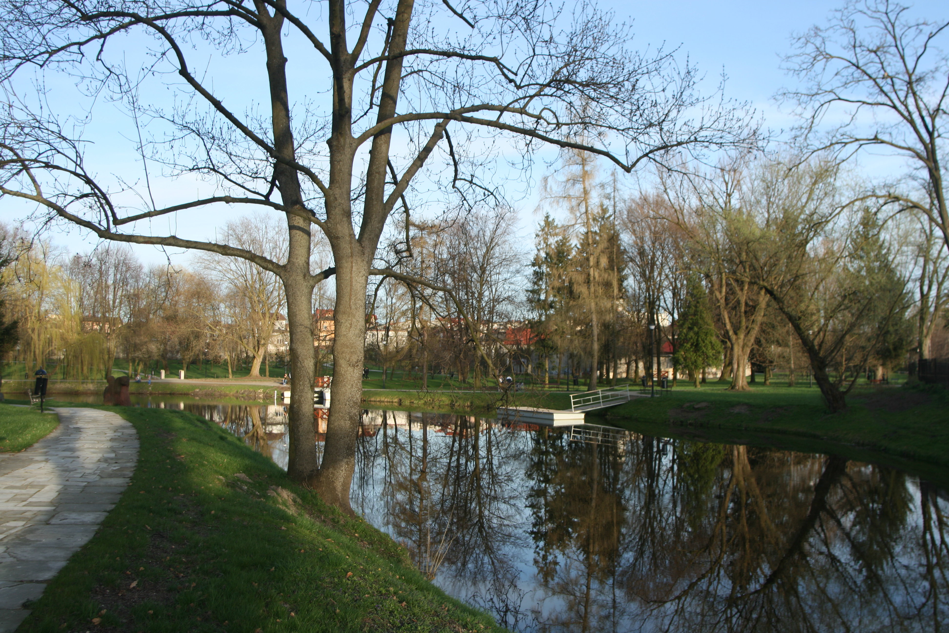 Szydłowiec photo 4