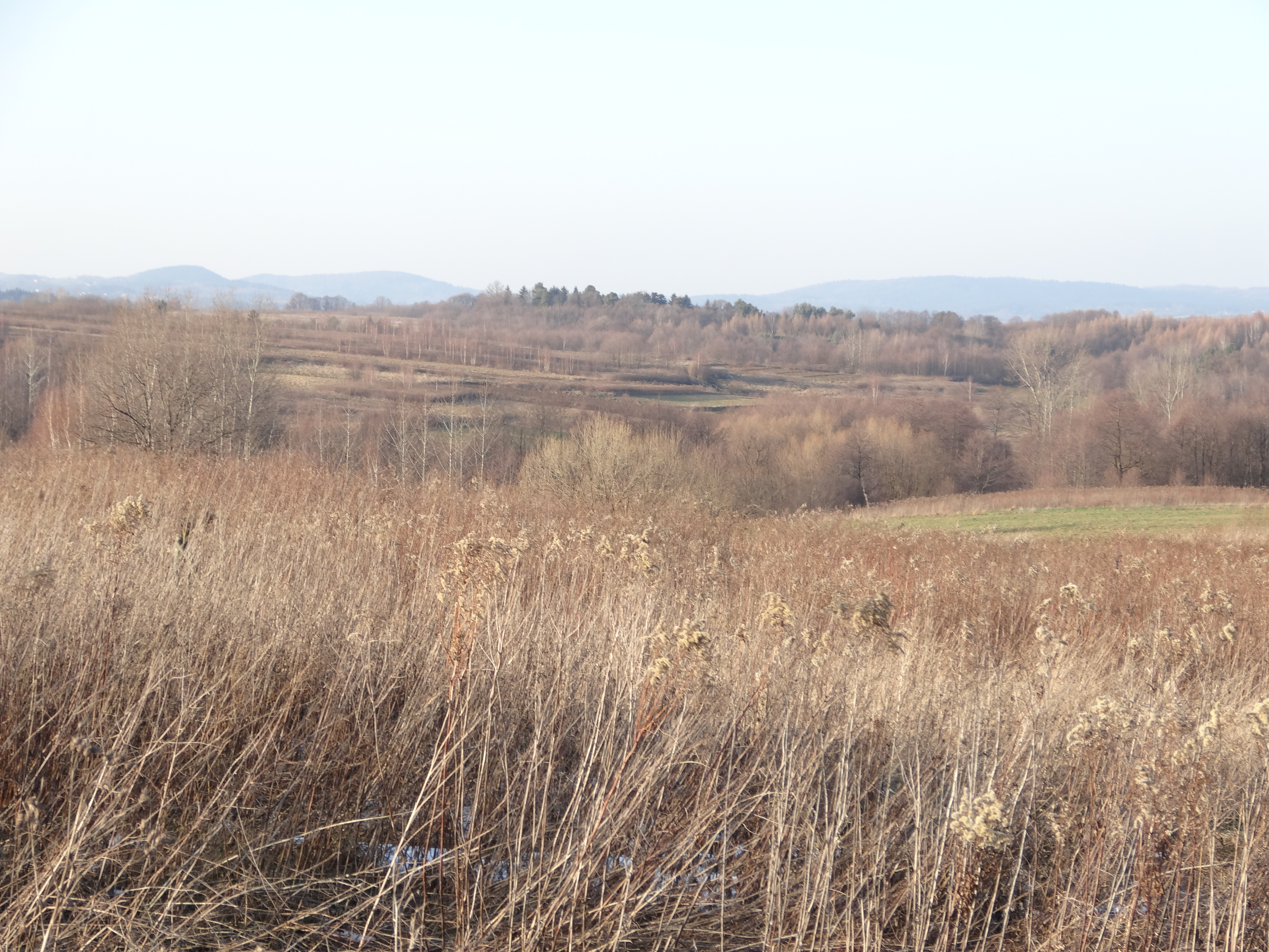 Stara Wieś photo 2