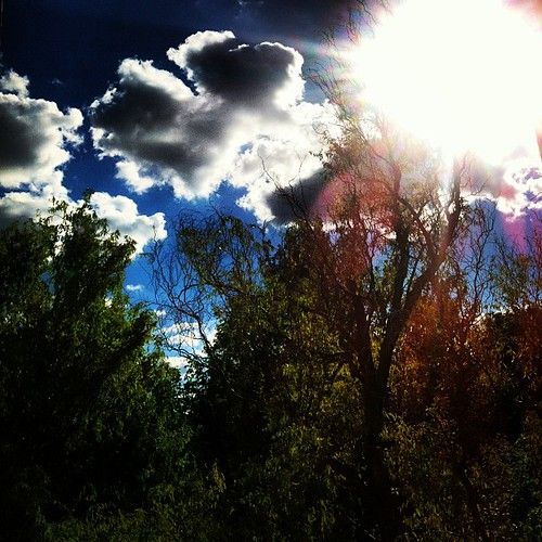 Siedlce photo 2