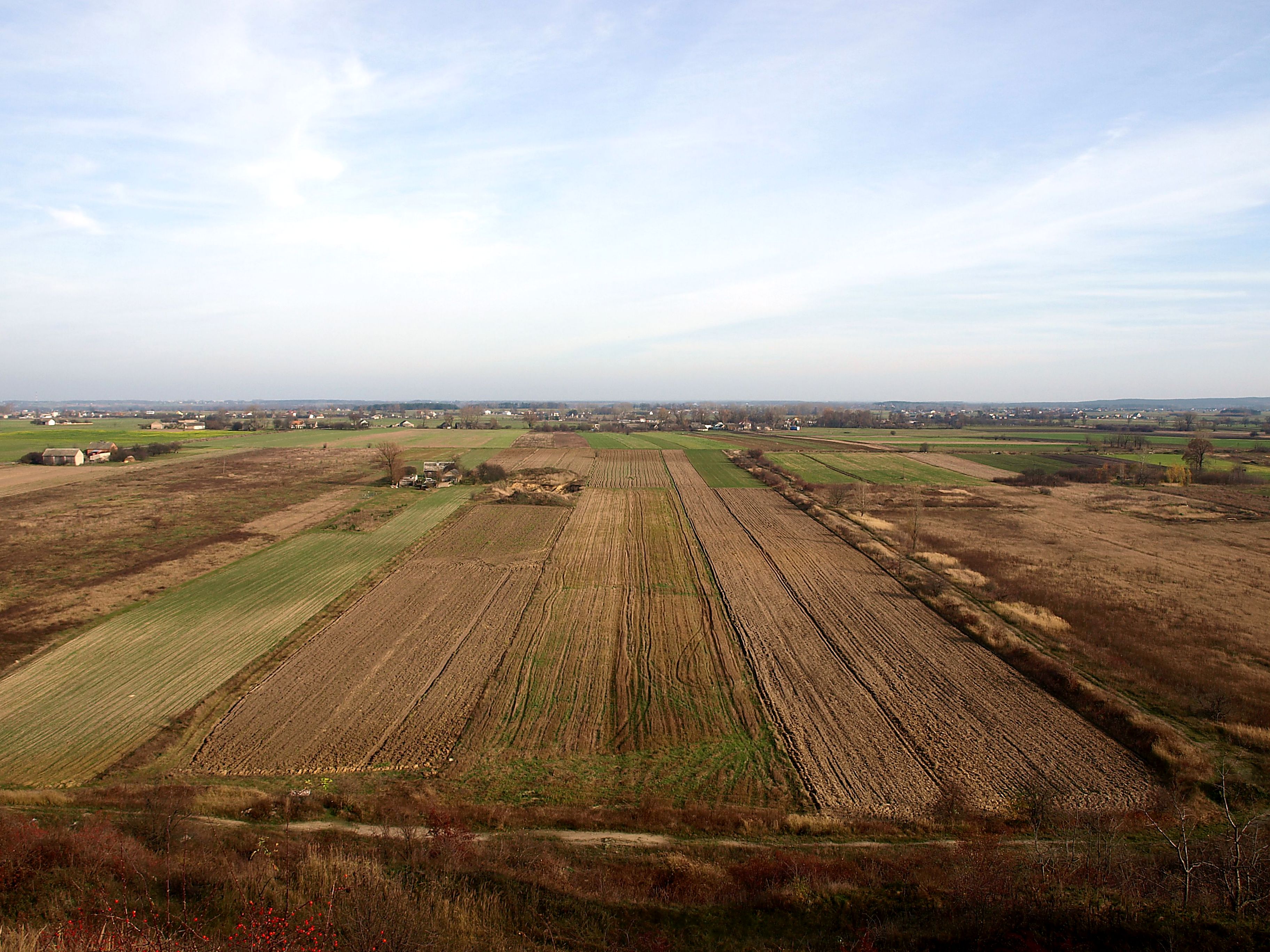 Wierzbica photo 3