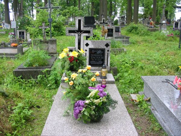 Pruchnik photo 2