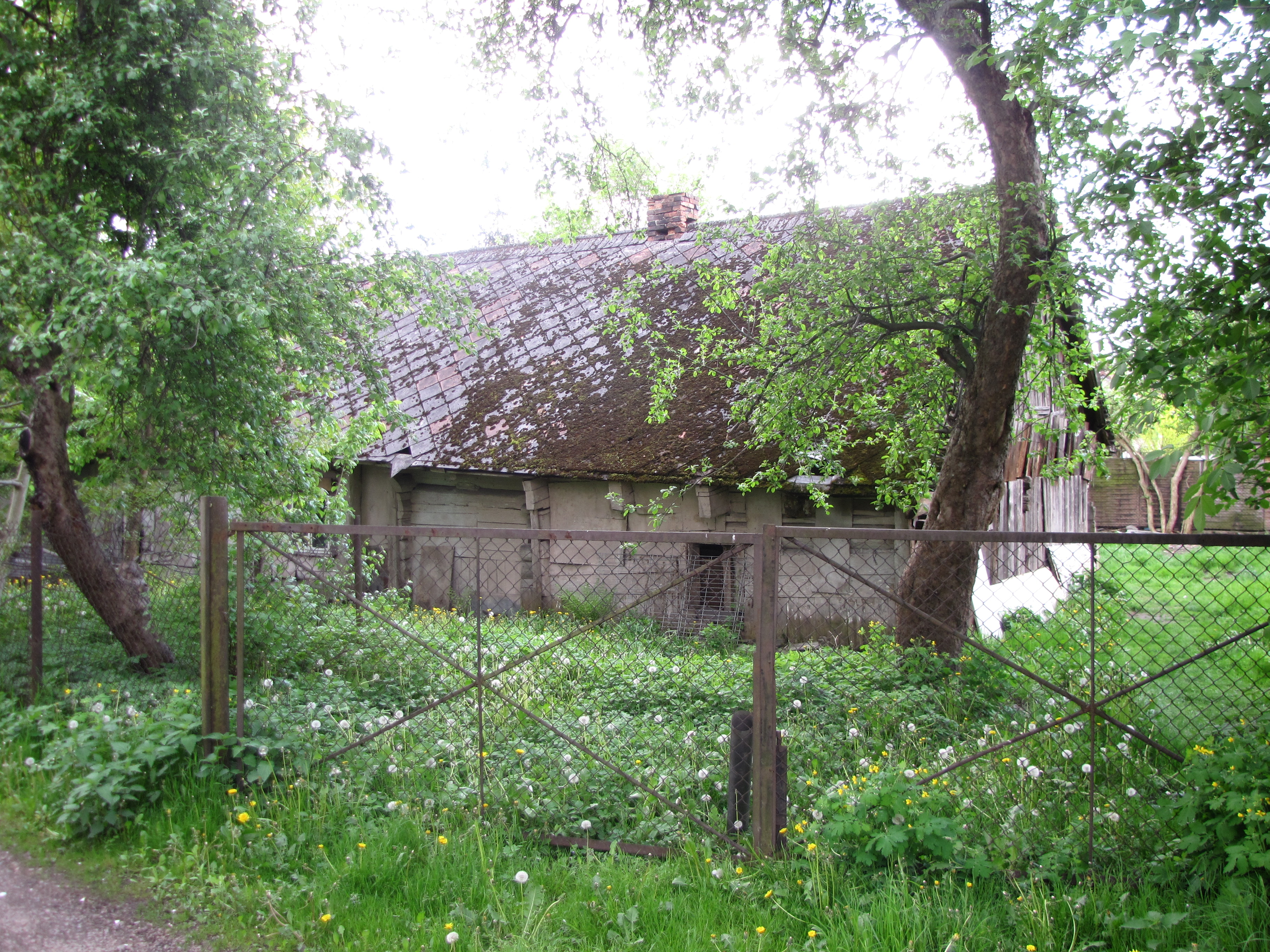 Zarzecze photo 4