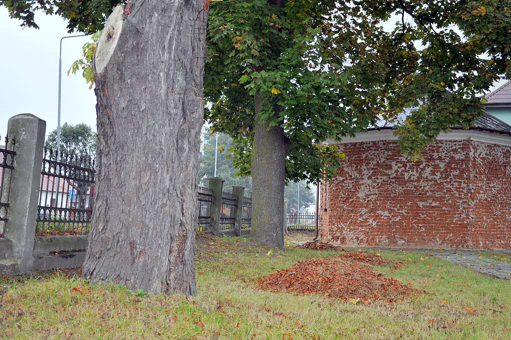 Zwoleń photo 4