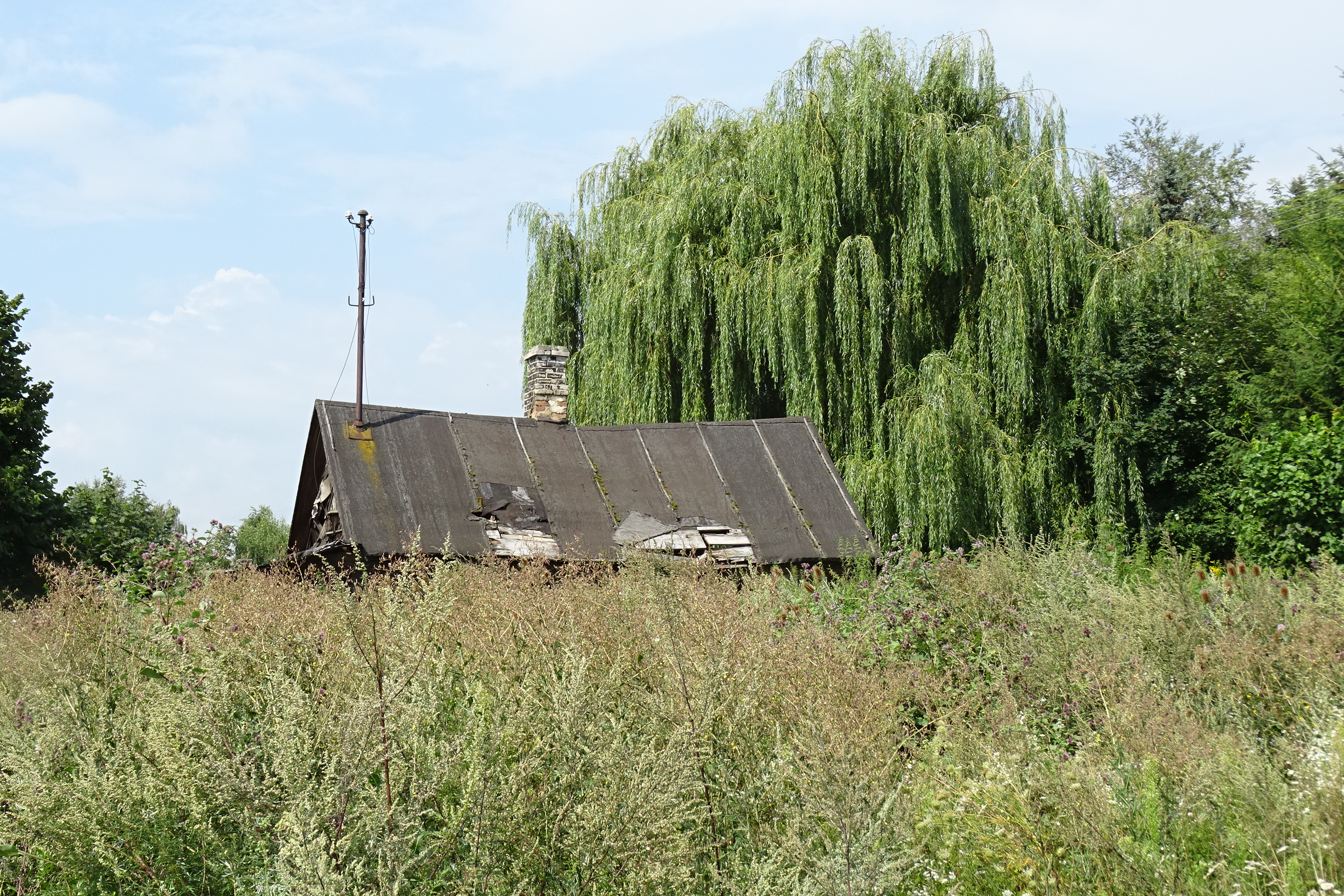 Ożarów photo 3