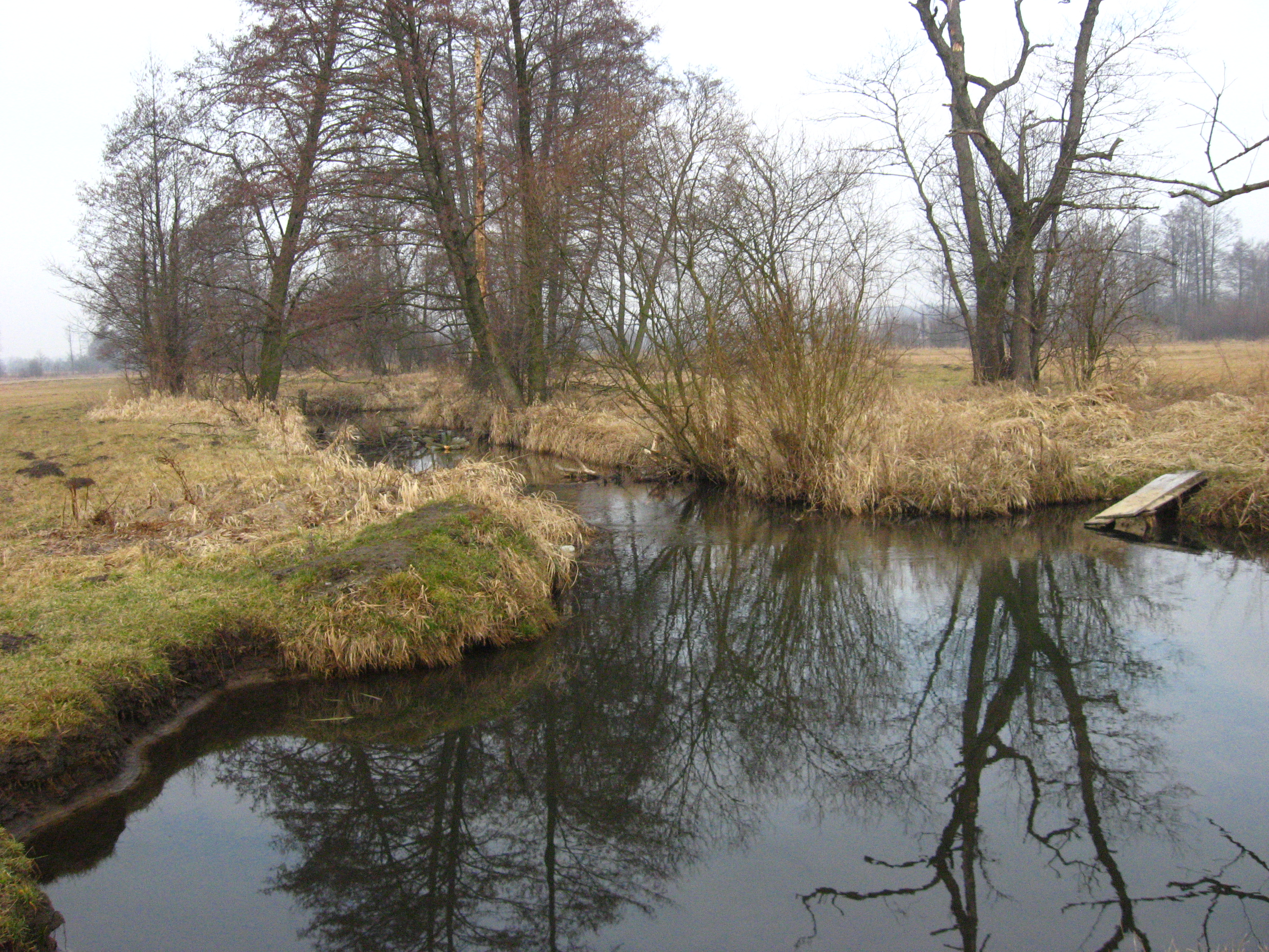 Staszów photo 2