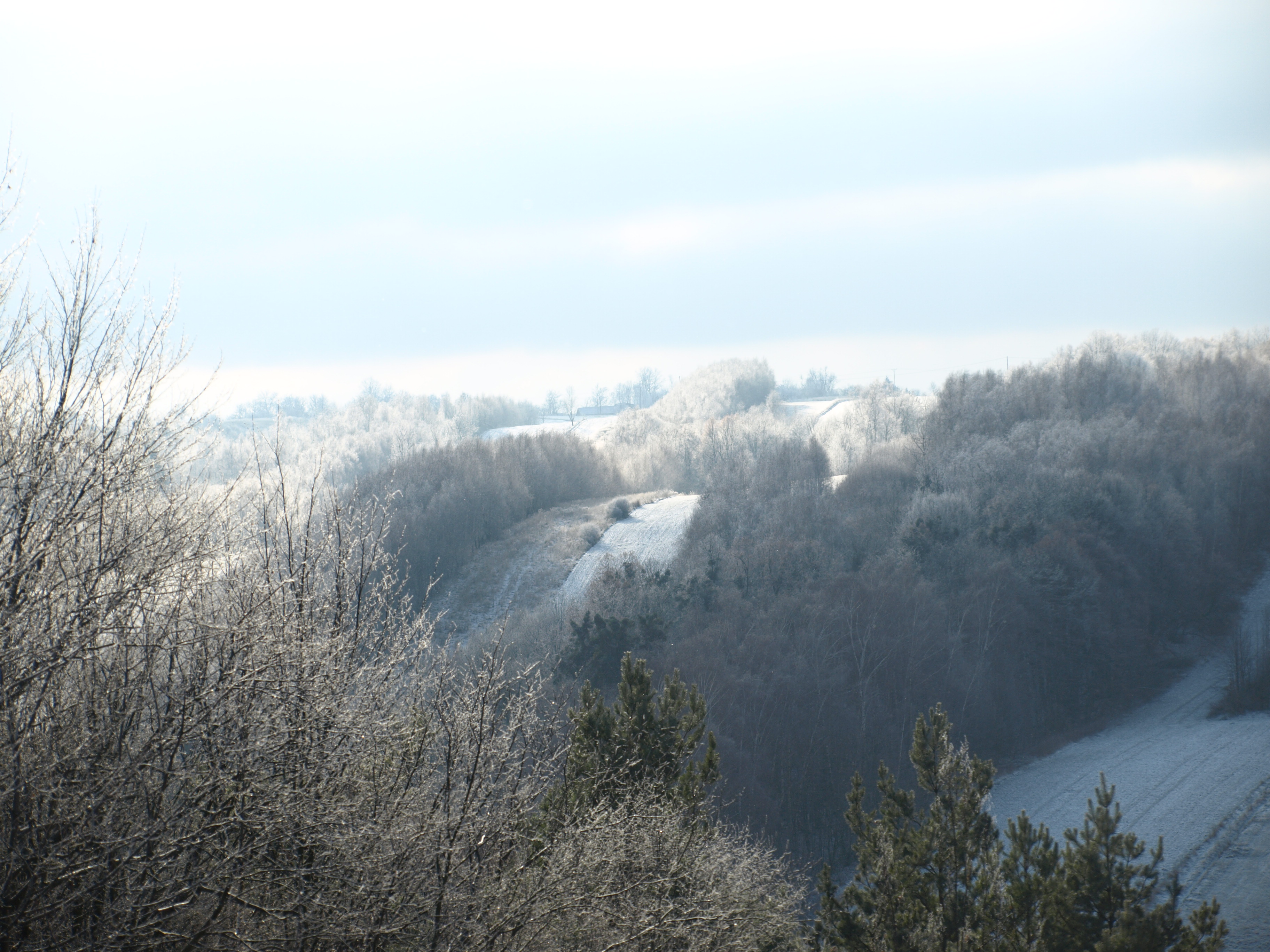 Tomaszów Lubelski photo 2