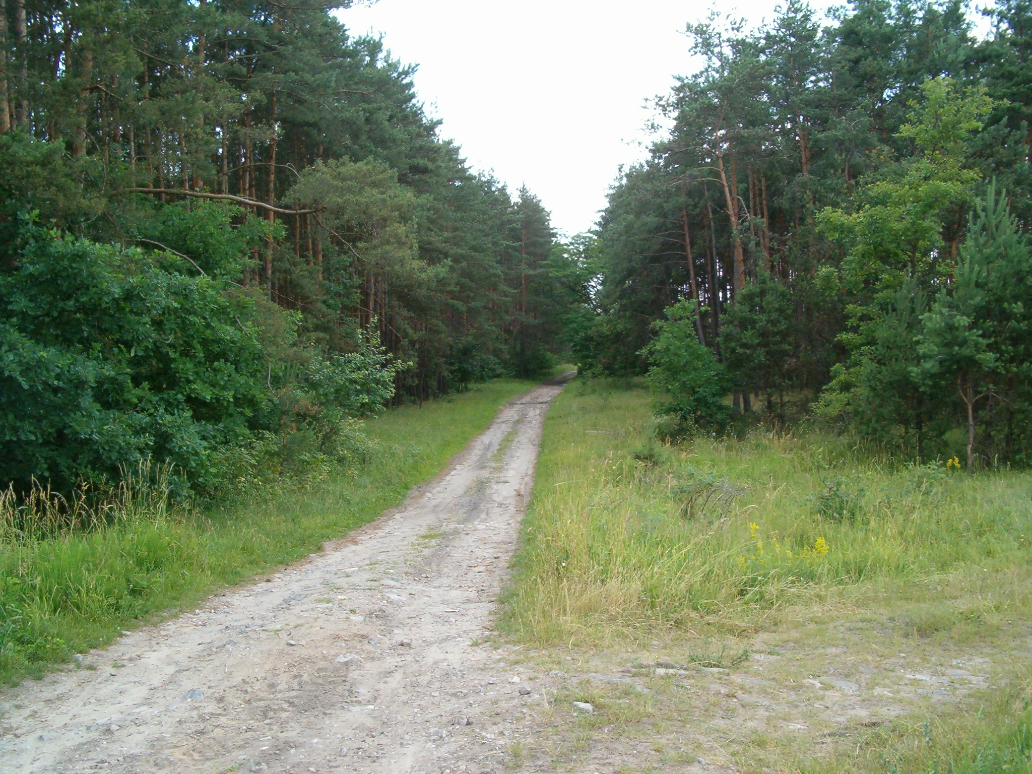 Pińczów, Swietokrzyskie