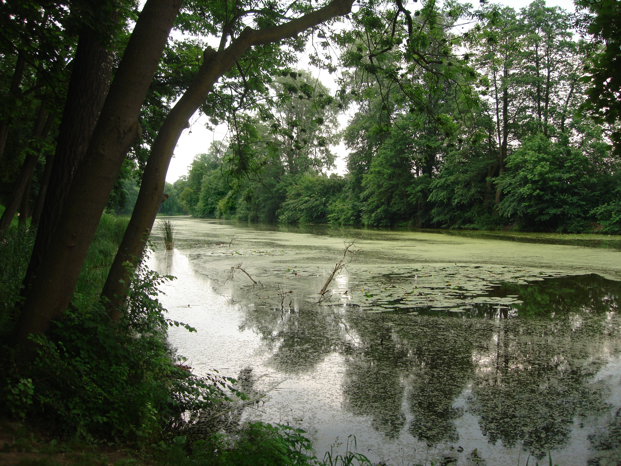 Puławy photo 4