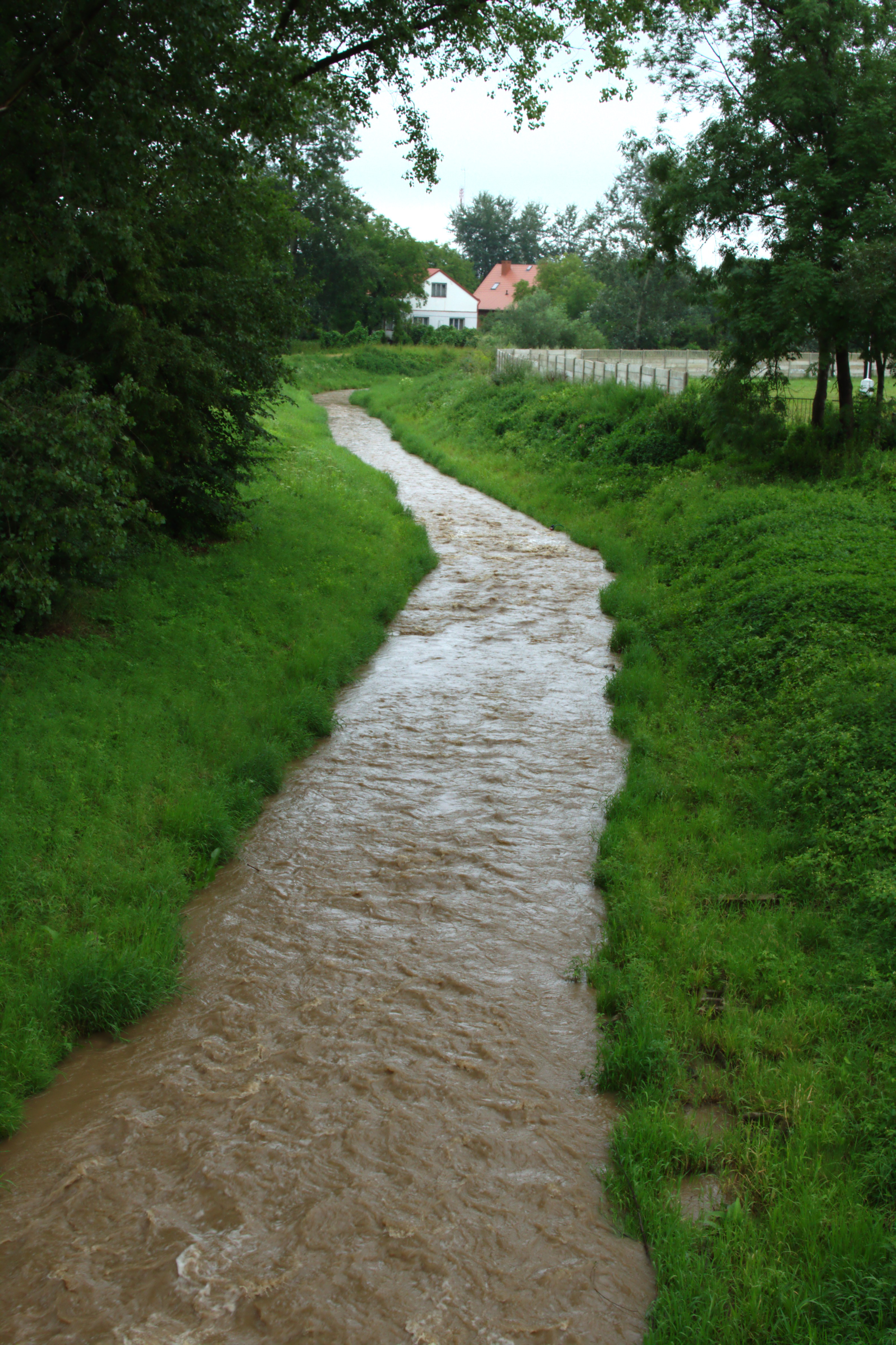 Radymno photo 3