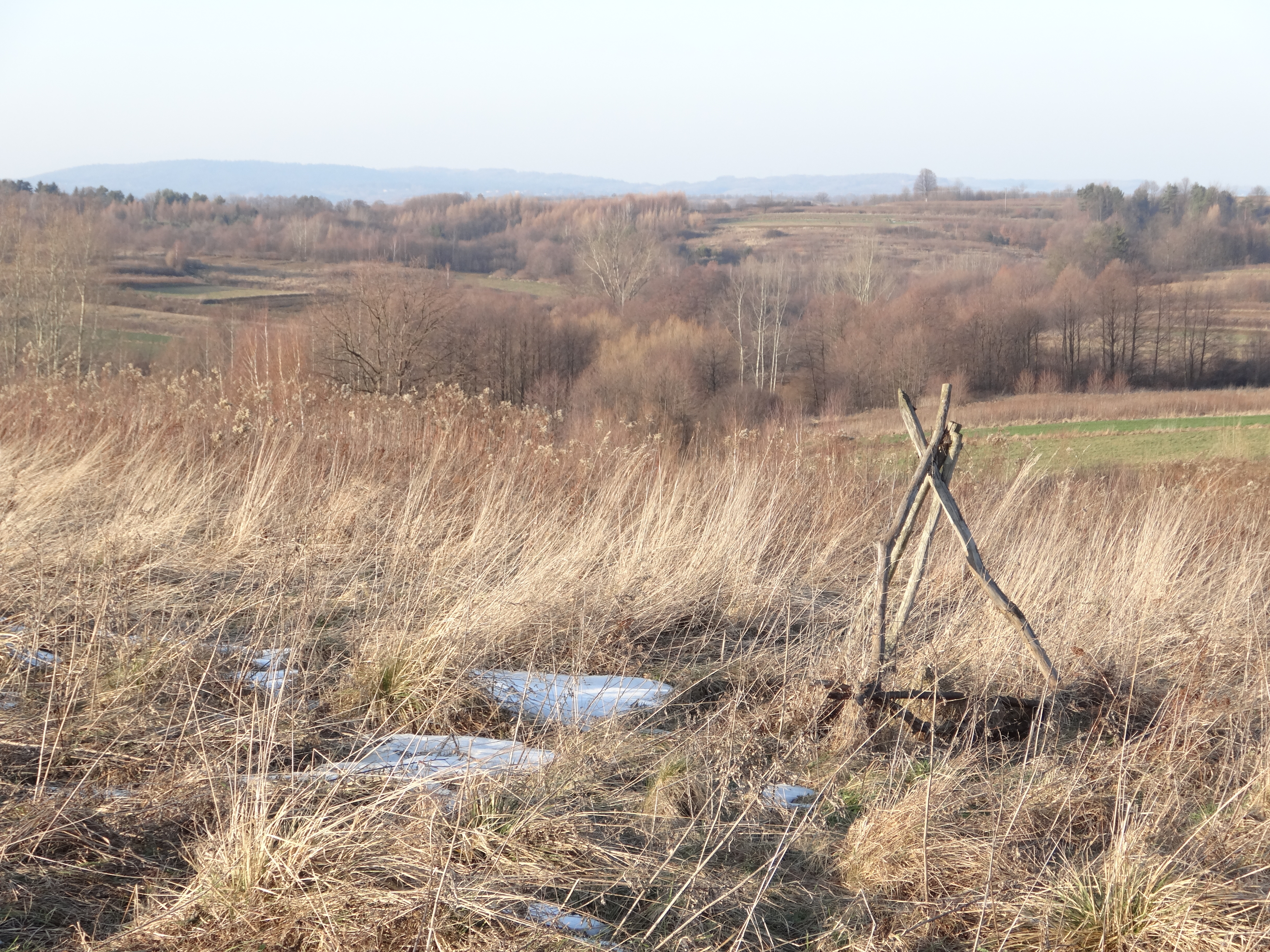 Stara Wieś, Subcarpathia