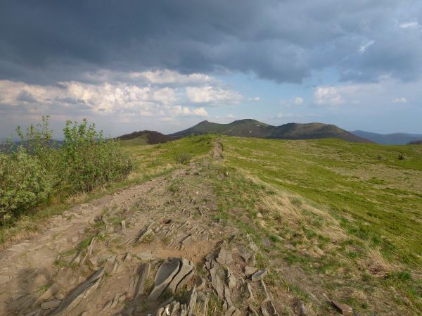 Osadzki photo 2