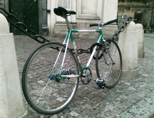 Ostre photo 3